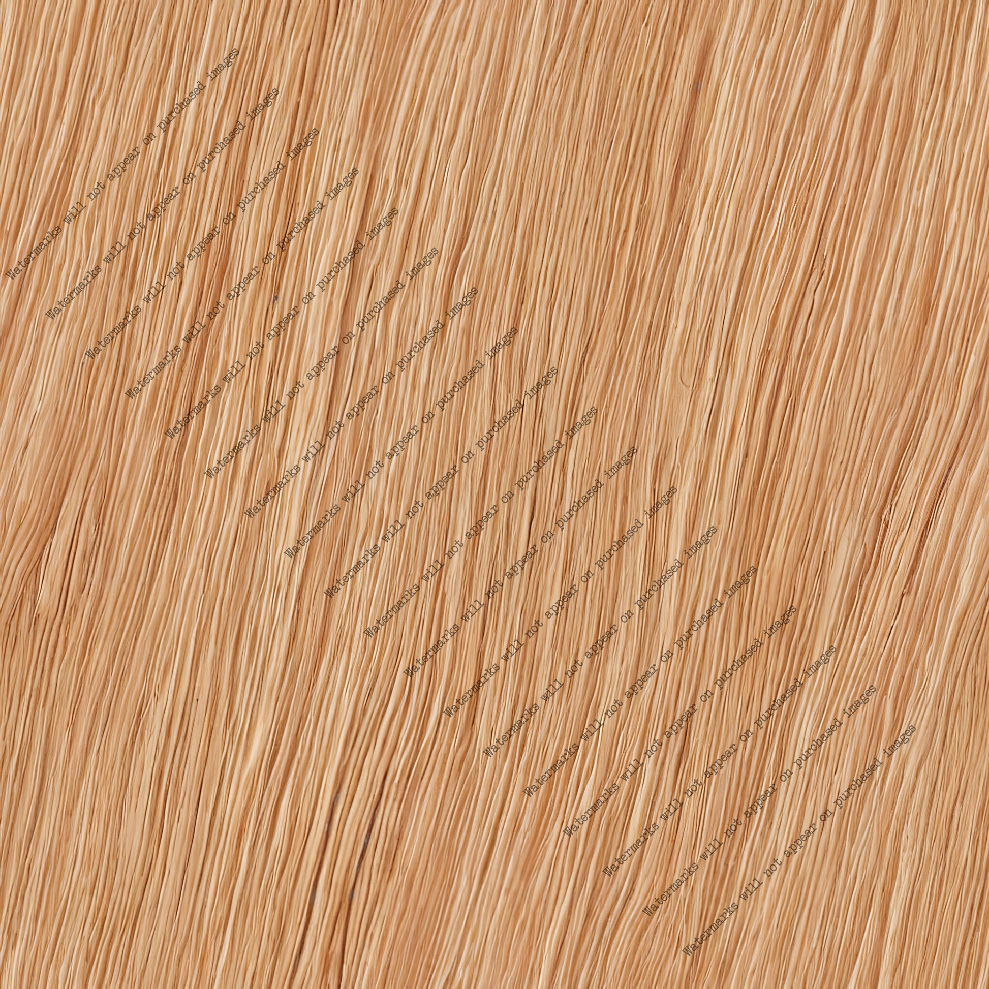 Beech Timber pack, seamless pattern / tiles / texture 2048*2048 pixels, 300dpi, PNG 10 images - ArtRemade